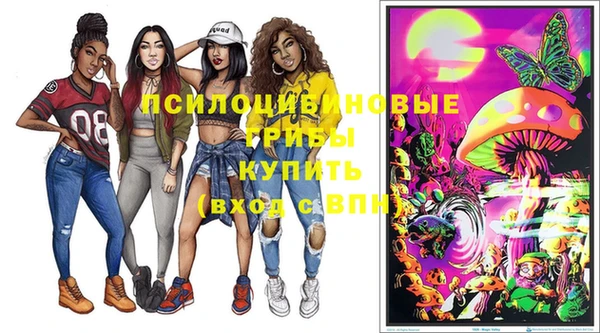 соль ск Алзамай