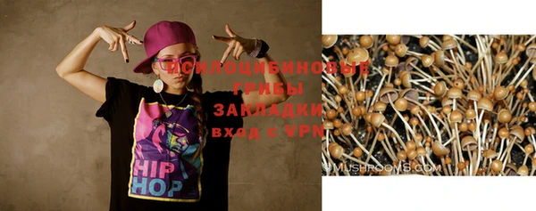 мяу мяу мука Алексеевка