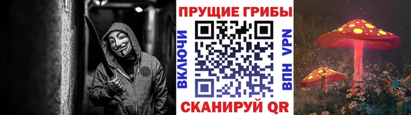 mega сайт  Хвалынск  Псилоцибиновые грибы MAGIC MUSHROOMS 